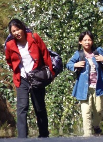 成人综合在线视频
